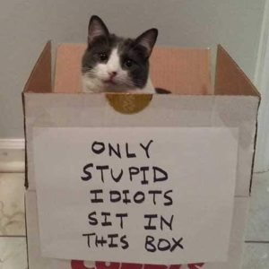 Idiot box